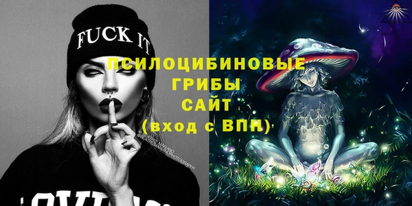 PSILOCYBIN Туринск