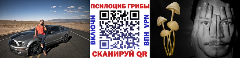 даркнет сайт  МЕГА как зайти  Псилоцибиновые грибы прущие грибы  Слободской 